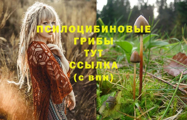 кокс Магадан