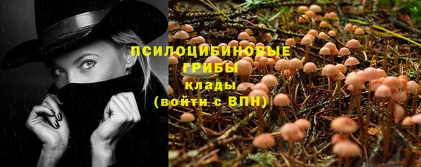 прущая мука Магас