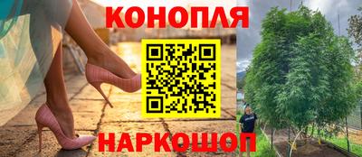 сатива Апрелевка