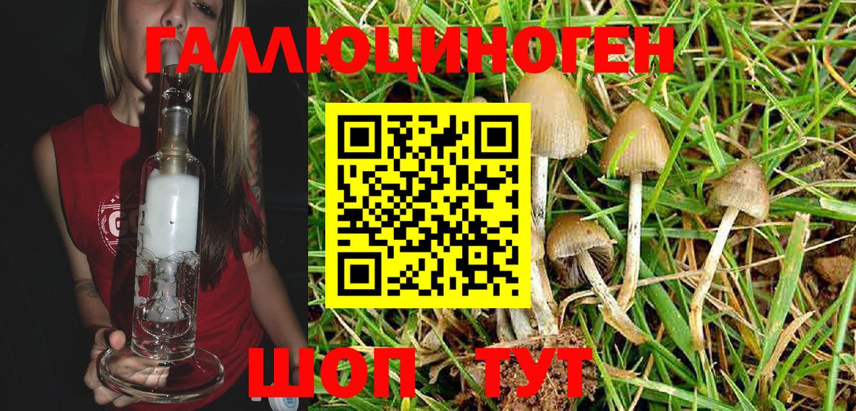 Галлюциногенные грибы GOLDEN TEACHER Советская Гавань