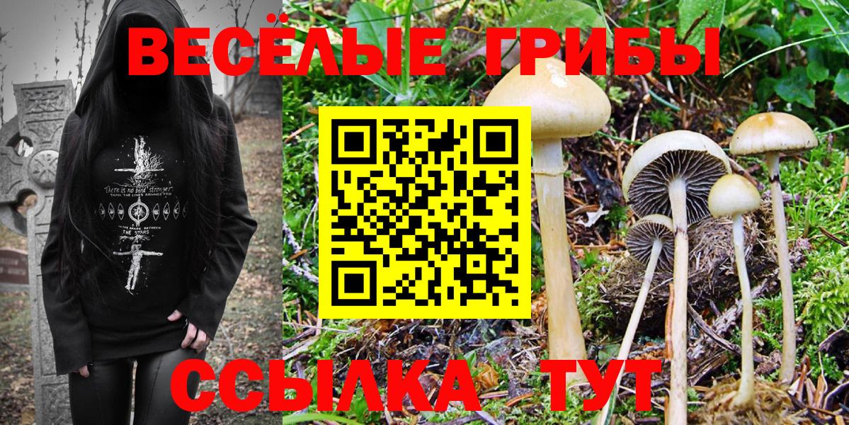 Галлюциногенные грибы GOLDEN TEACHER  Псилоцибиновые грибы ЛСД  Советская Гавань 