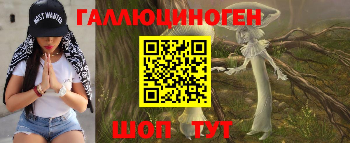 Псилоцибиновые грибы GOLDEN TEACHER Советская Гавань