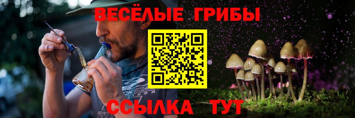 Советская Гавань  Галлюциногенные грибы прущие грибы  Вход с VPN  Галлюциногенные грибы ЛСД 